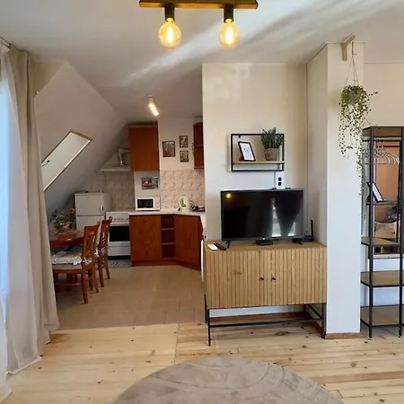 The Nest Above Apartment