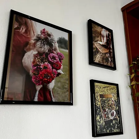 The Nest Above *
