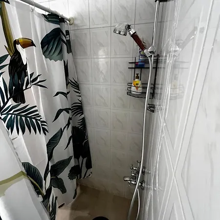 The Nest Above Apartment