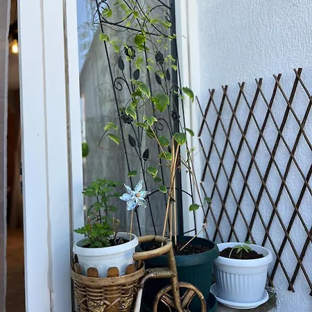 The Nest Above 公寓 *