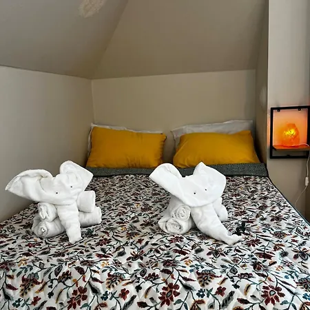 The Nest Above * София