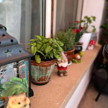 דירה The Nest Above