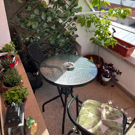 דירה The Nest Above