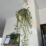 Apartment The Nest Above