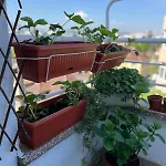The Nest Above Apartment *